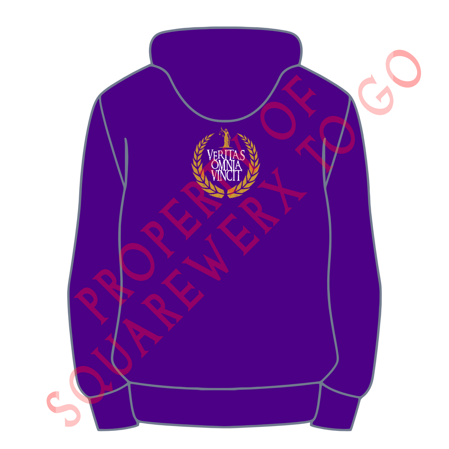 RSM VERITAS Hoodie