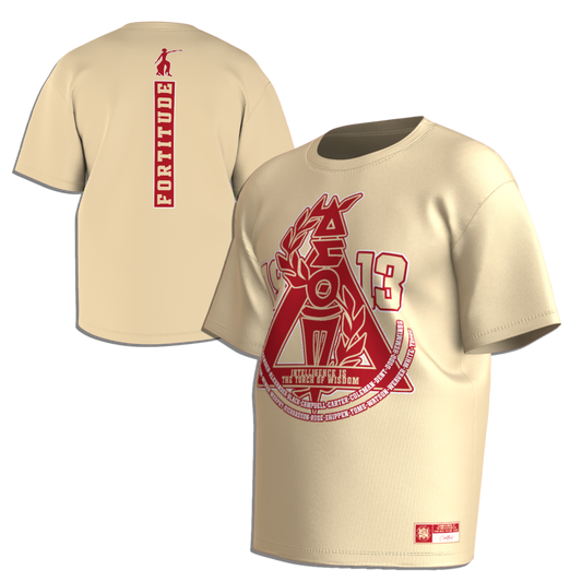 DST Origins Tshirt